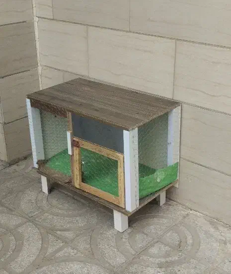 جفت کن|لوازم جانبی حیوانات|سمنان, |دیوار