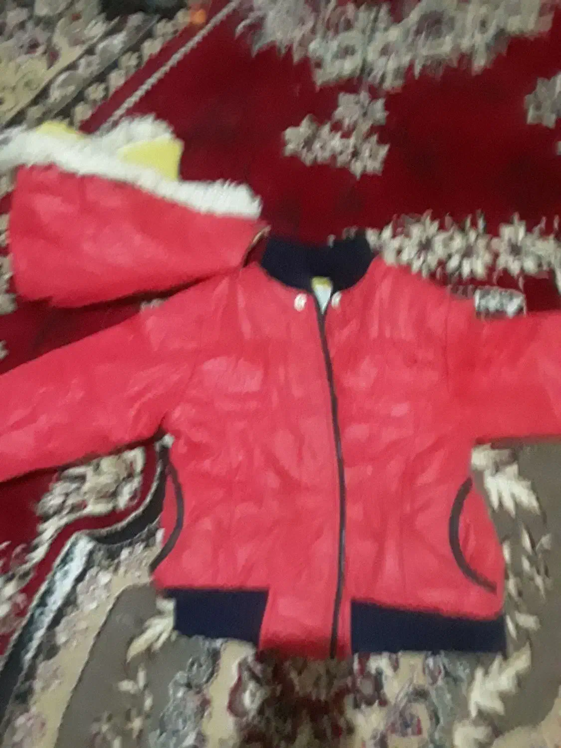 کت زنانه|لباس|هیرمند, |دیوار