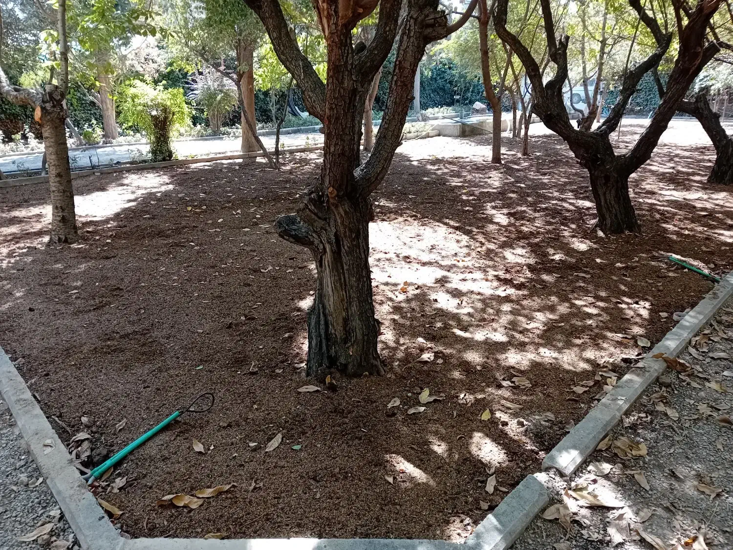 طراحی واجرای فضای سبز  باغبانی|خدمات باغبانی و درختکاری|مشکین‌دشت, |دیوار