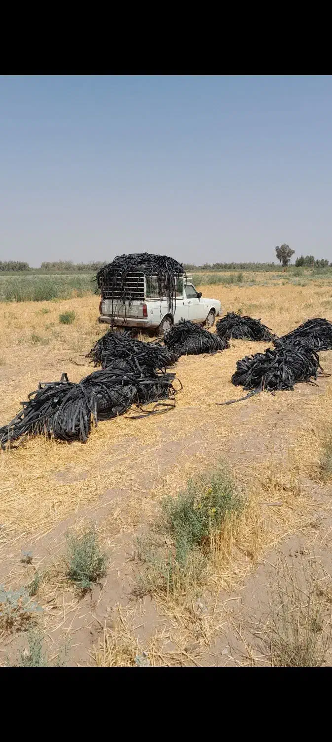 خرید نوارتیپ|خدمات پیشه و مهارت|رودبار (کرمان), |دیوار