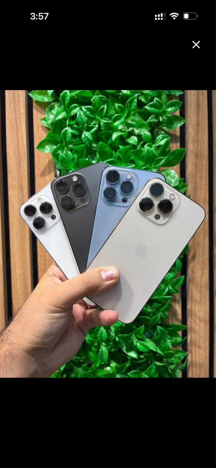 گوشی آیفون گمشده|اشیا|رشت, فرزانه|دیوار