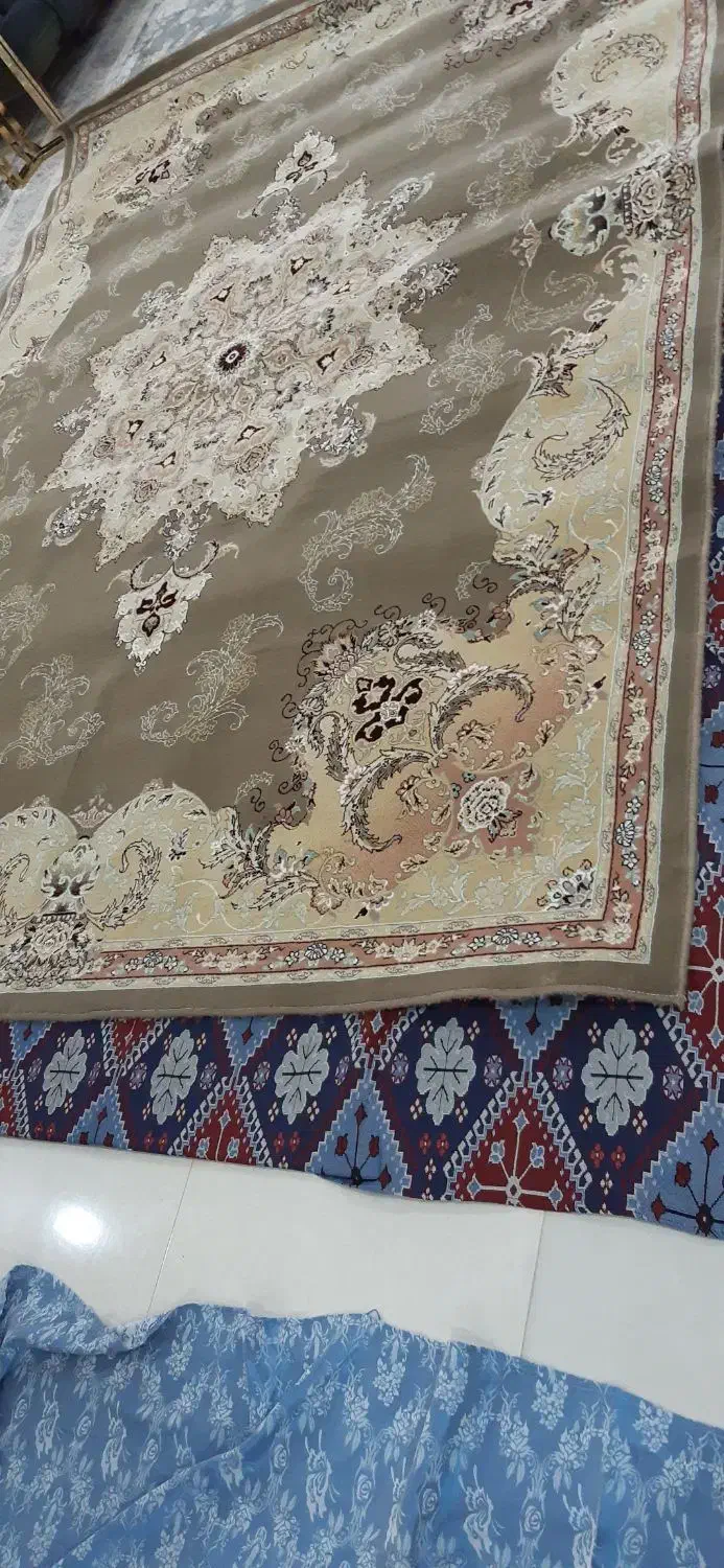 فرش ۹ متری|فرش|رشت, آزادگان|دیوار