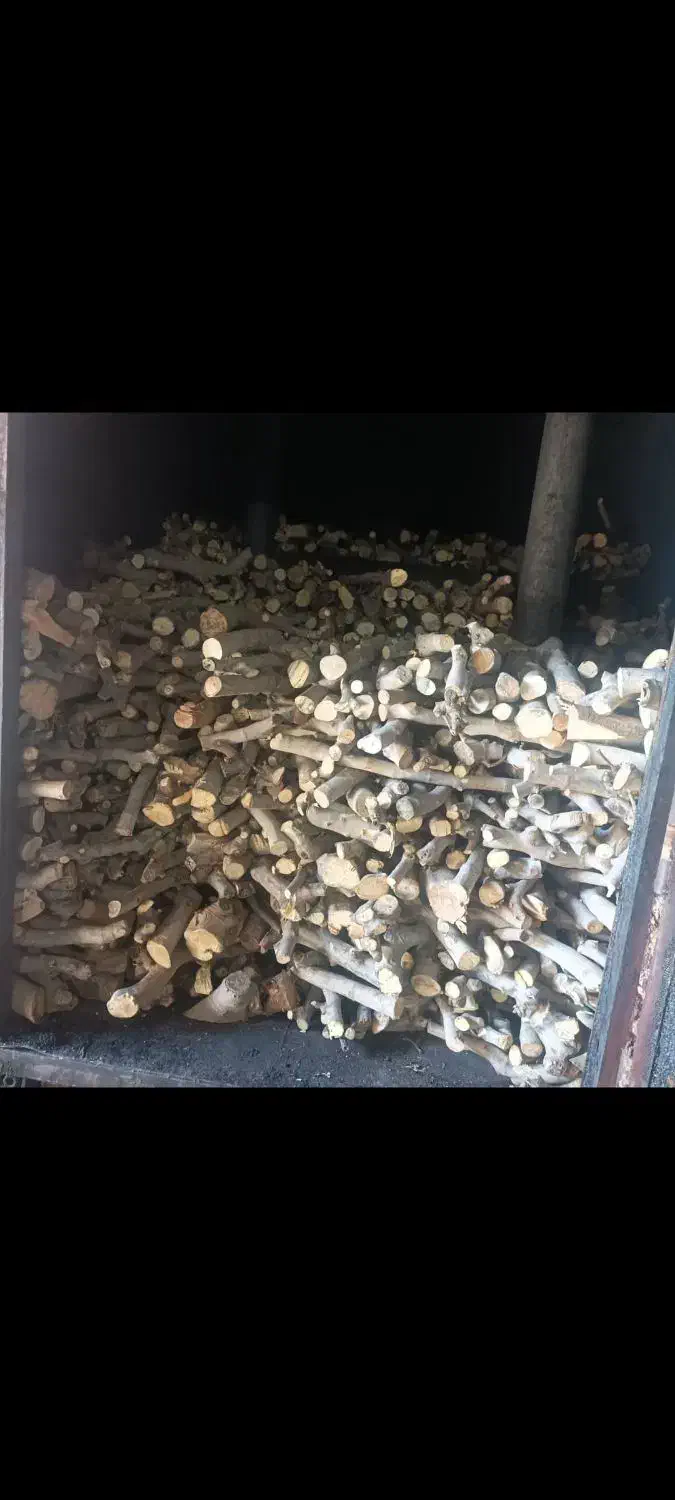 تولید زغال انجیر و بلوط و کبابی|عمدهفروشی|برخوار, |دیوار