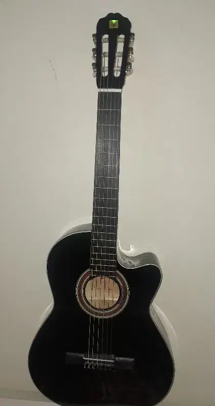 گیتار|گیتار، بیس، امپلیفایر|پارسآباد, |دیوار