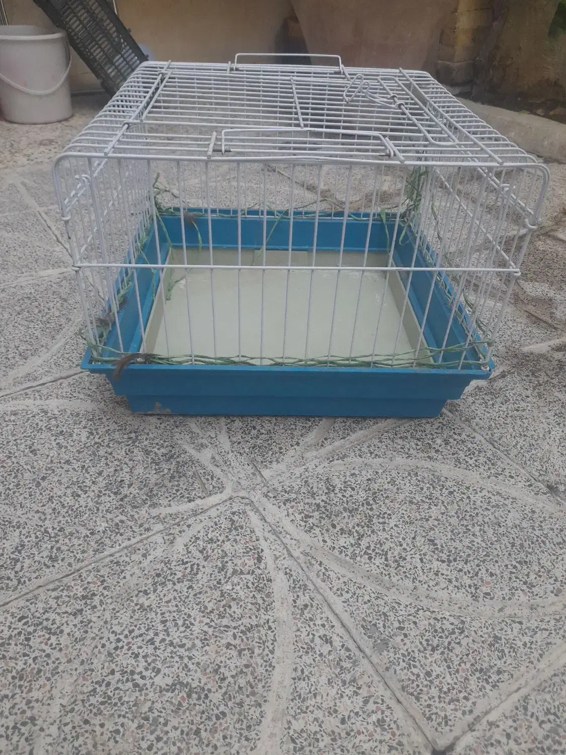 قفس|لوازم جانبی حیوانات|هشتگرد, کوی بهروز|دیوار