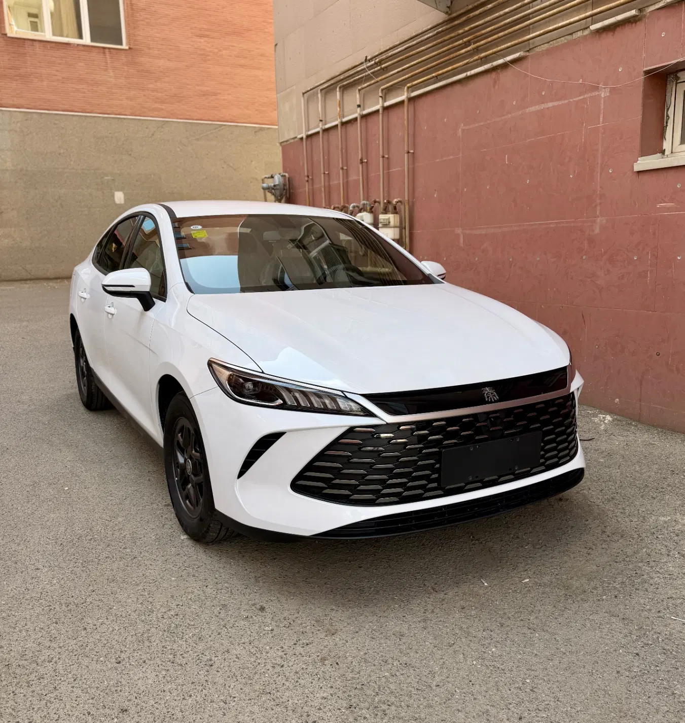 BYD Qin plus 2025|خودرو سواری و وانت|تبریز, |دیوار