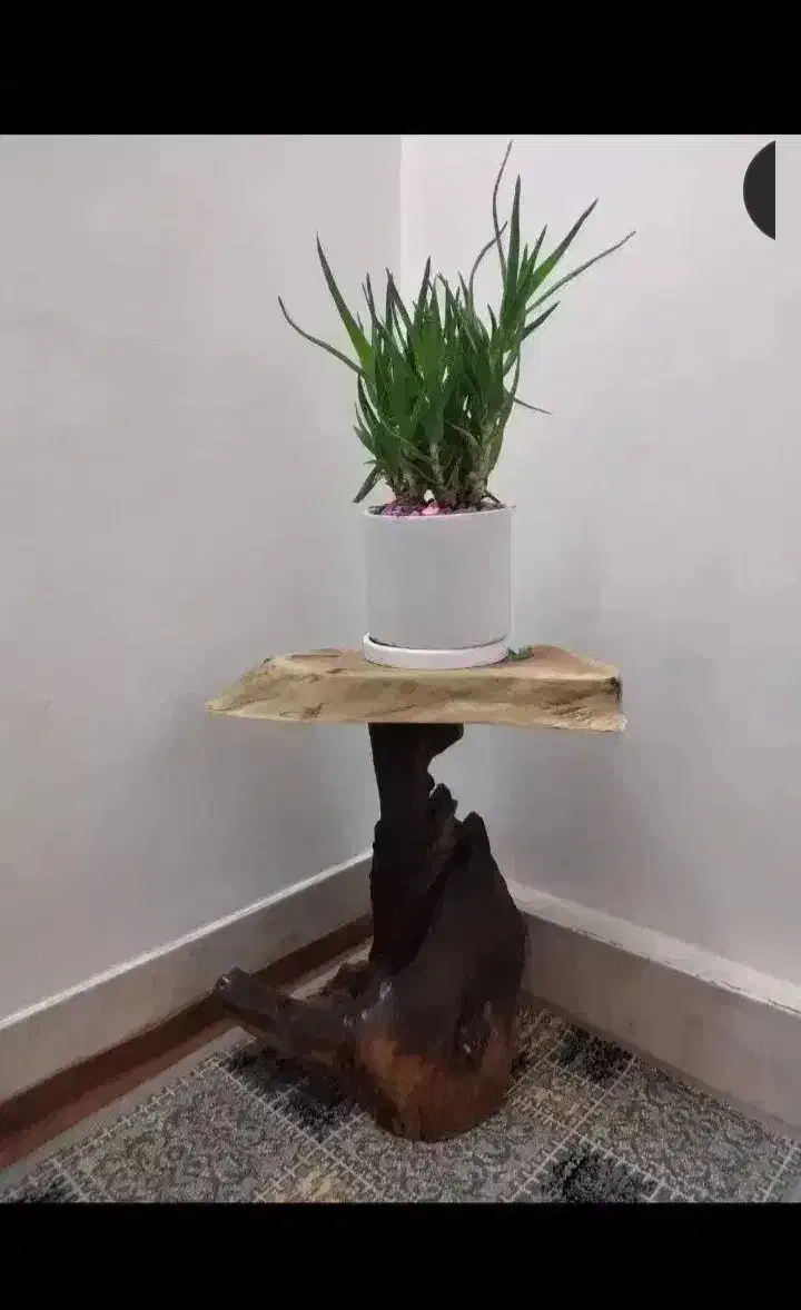 زیرگلدونی چوبی|مبلمان خانگی و میز عسلی|قم, کیوانفر|دیوار