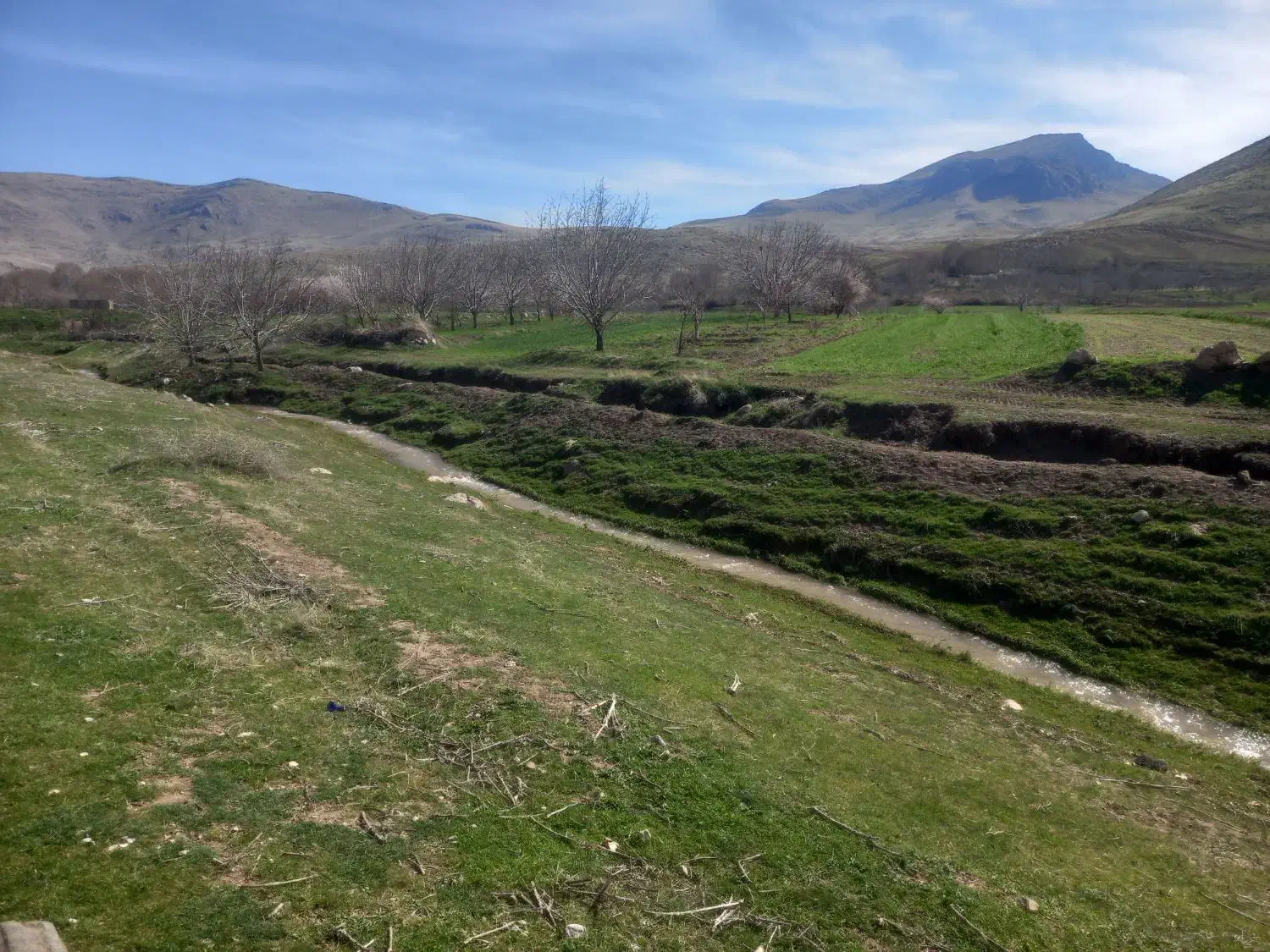 نگهبان و باغبان|استخدام سرایداری و نظافت|صحنه, |دیوار