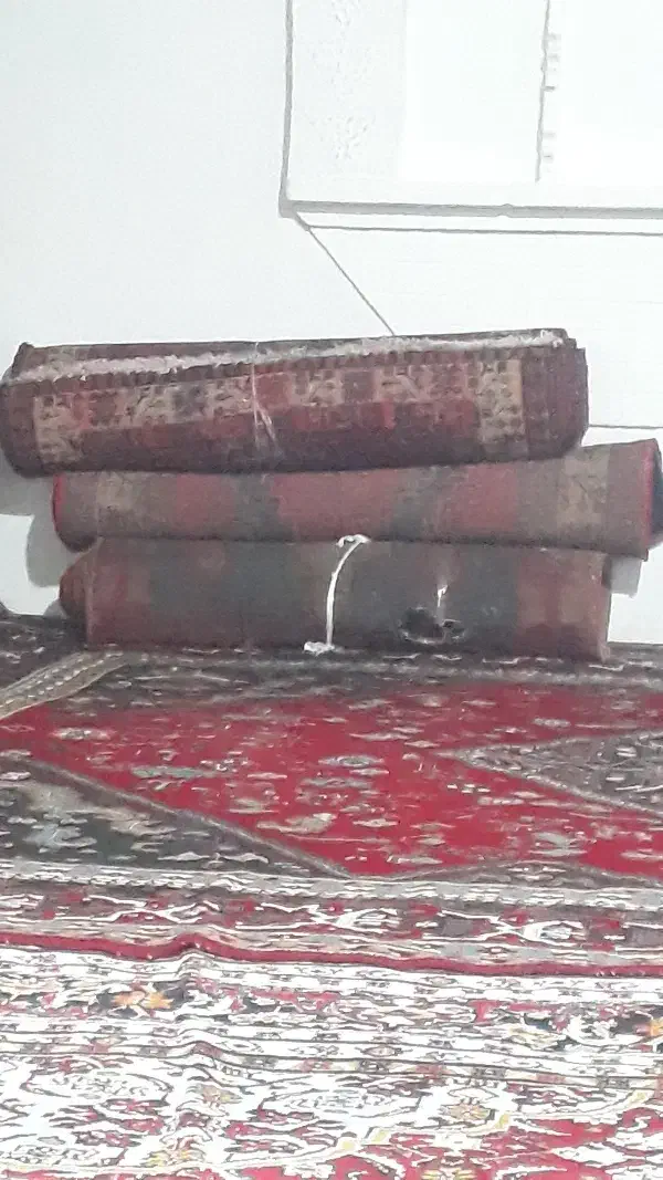 فرش دستباف|فرش|کوثر, |دیوار