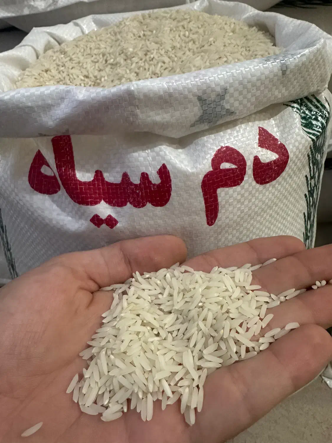 برنجمحلیدمسیاهوفجرسوزنی۹۰روزه|خوردنی و آشامیدنی|گنبد کاووس, |دیوار