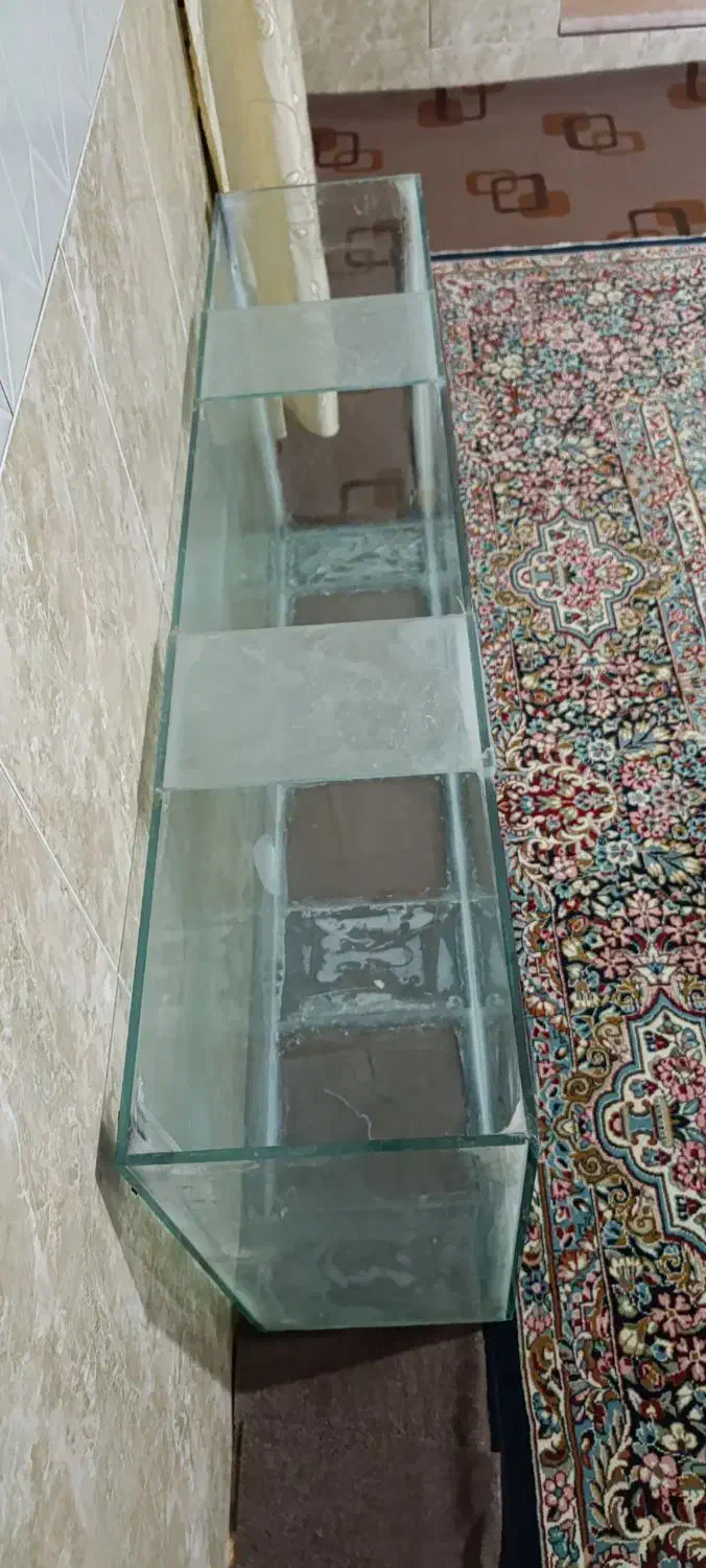 آکواریوم|ماهی|زرند, |دیوار