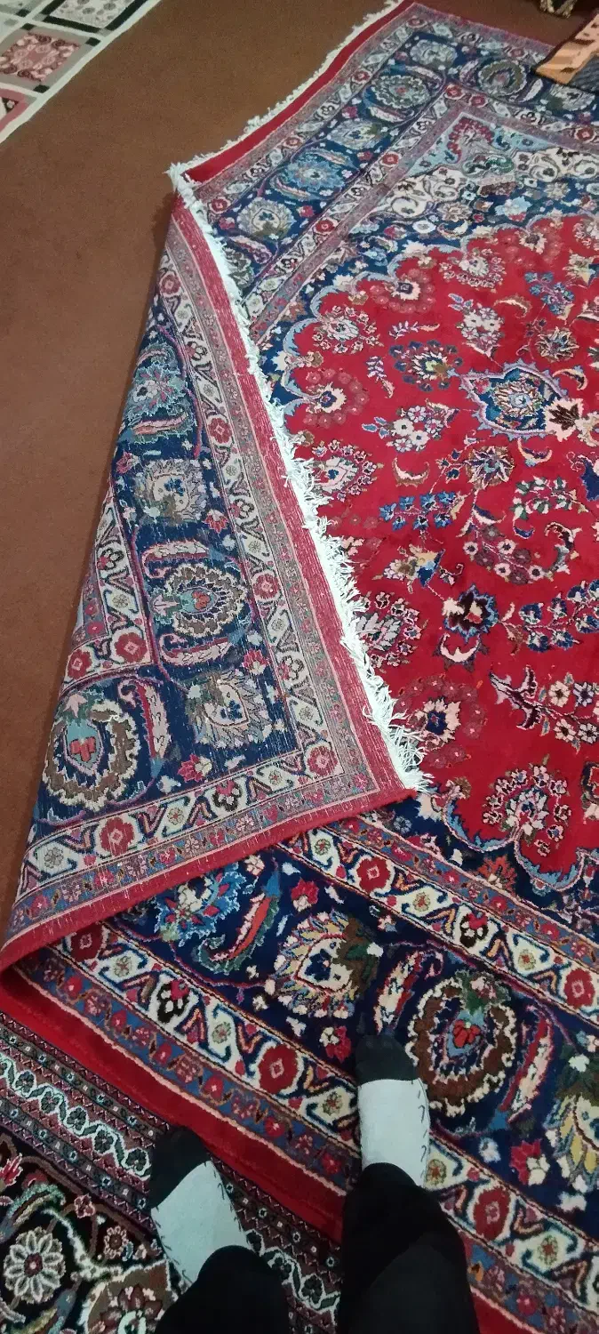فروش فرش دستباف|فرش|بناب, |دیوار