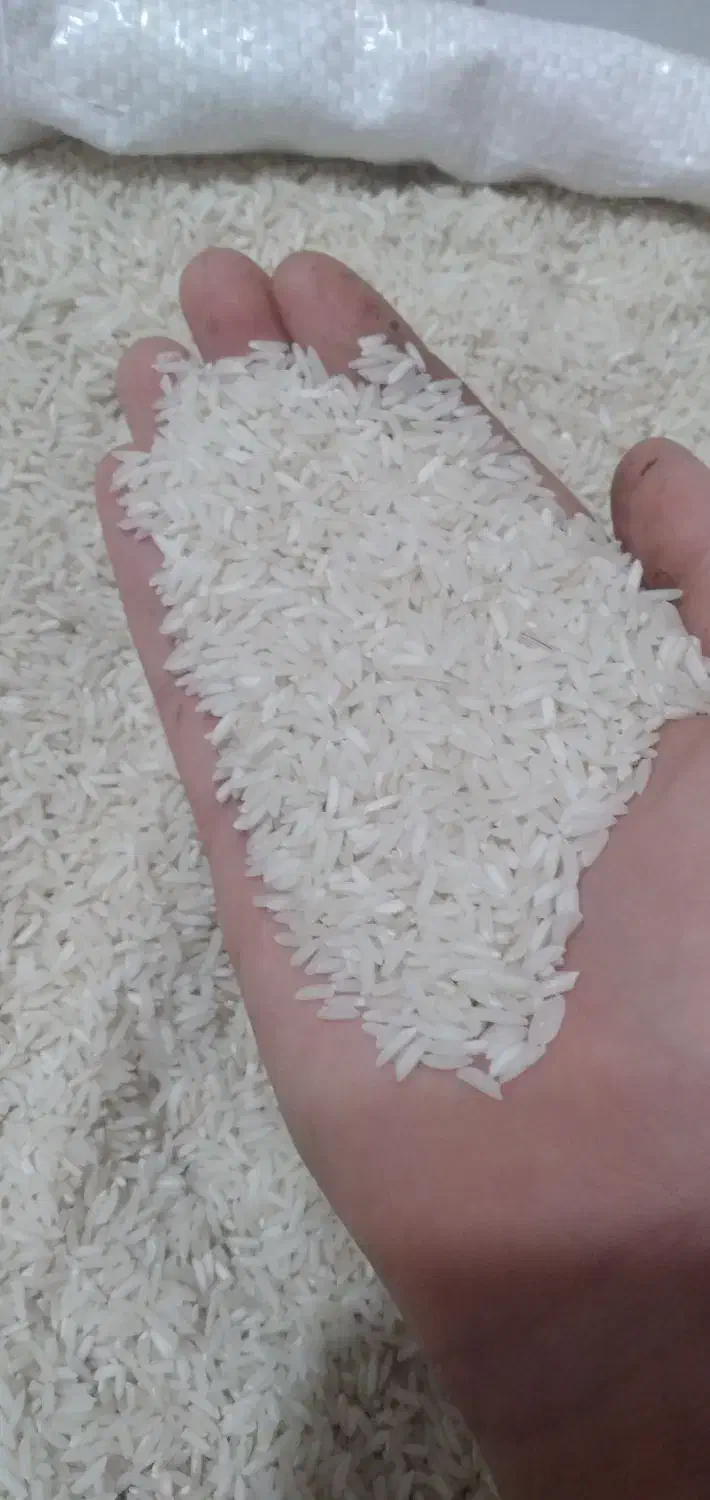 برنج هاشمی|خوردنی و آشامیدنی|رشت, حمیدیان|دیوار