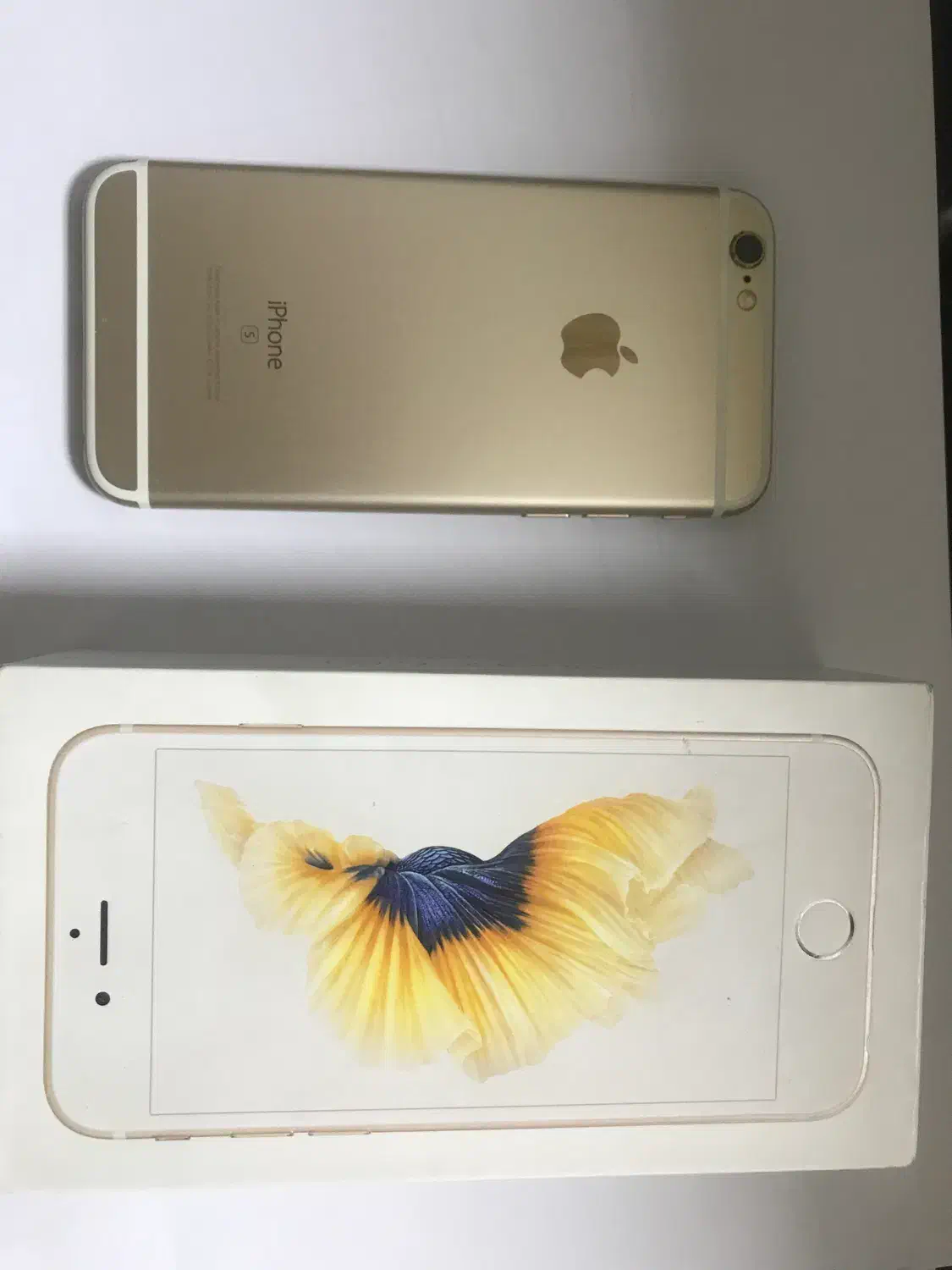 آیفون6s رزگلد|موبایل|اهواز, معین زاده|دیوار