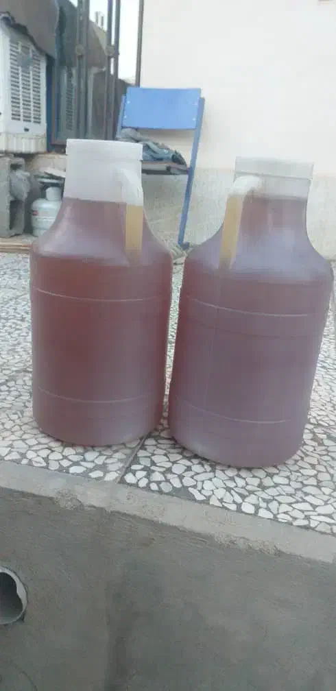 عسل گون|خوردنی و آشامیدنی|شیراز, ریشمک|دیوار
