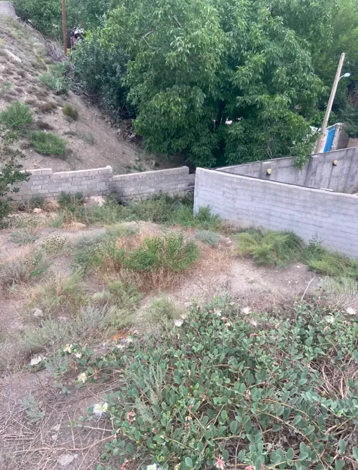 زمین خام پل سفید ورسک|فروش زمین و ملک کلنگی|پل سفید, |دیوار