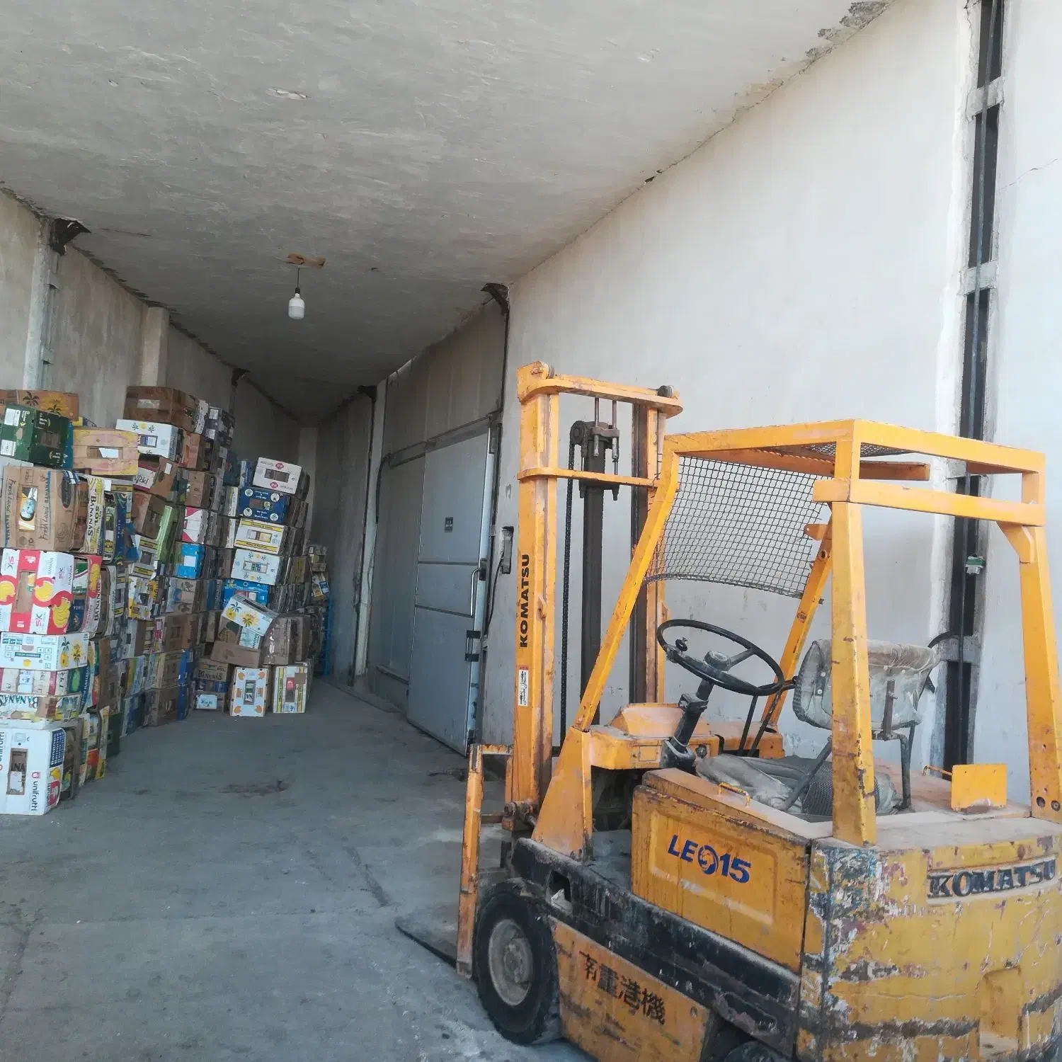 اجاره سردخانه و سالن (جاده بنداروز)|اجارهٔ دفتر صنعتی، کشاورزی، تجاری|برازجان, |دیوار