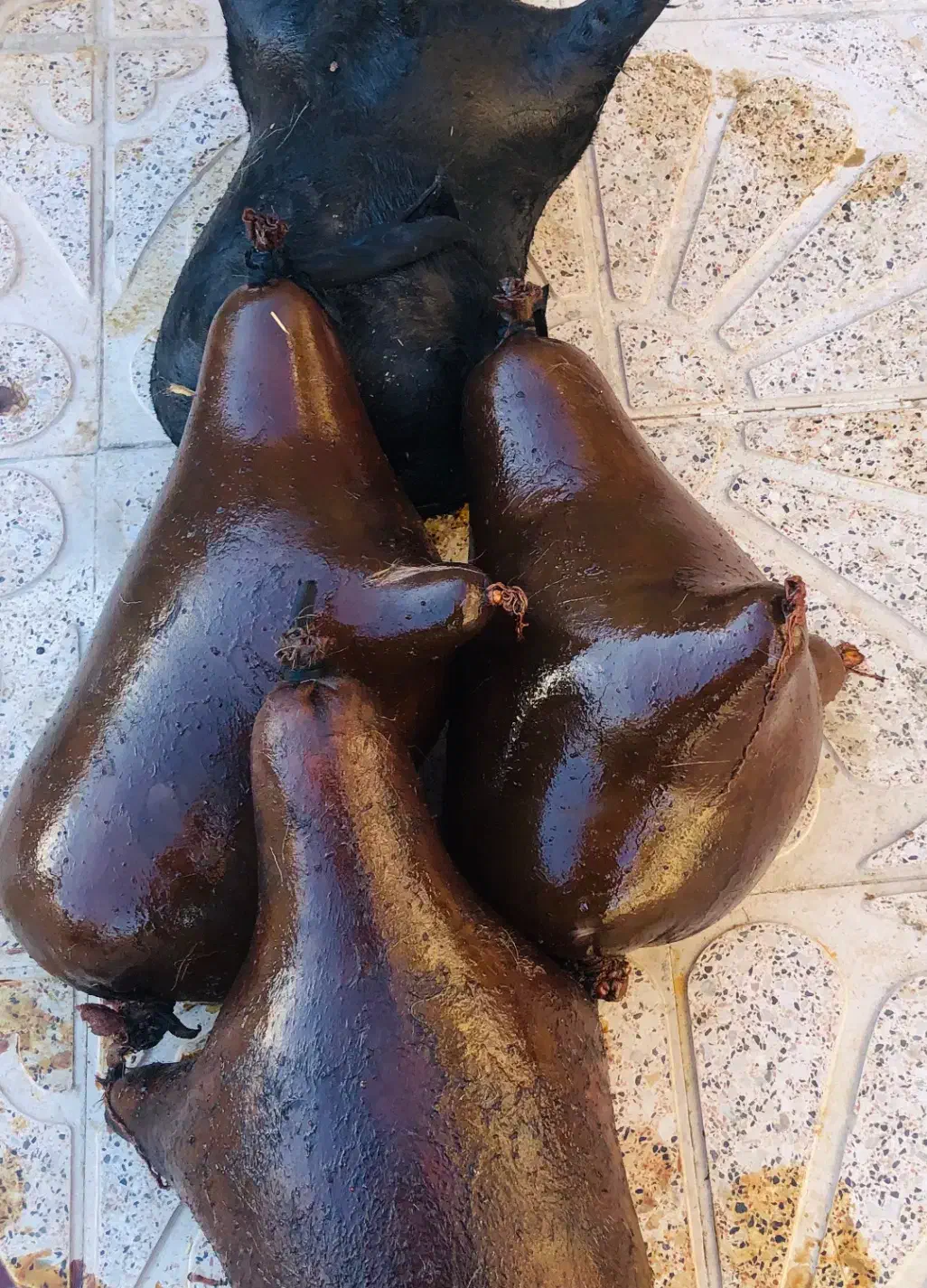 هیزه|حراج|جزمان, |دیوار