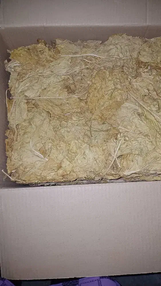 برگ زرد درجه یک. بویری و مهر آباد|عمده‌فروشی|شبانکاره, |دیوار