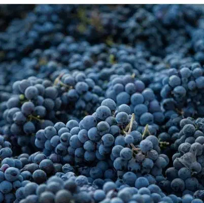 آب انگور|خوردنی و آشامیدنی|مسجد سلیمان, |دیوار