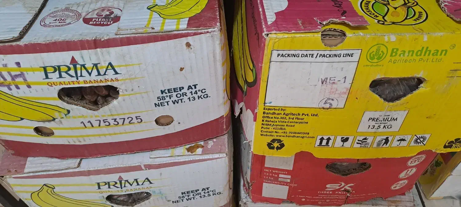 خرمای بی هسته درجه یک|خوردنی و آشامیدنی|قم, وادی السلام|دیوار