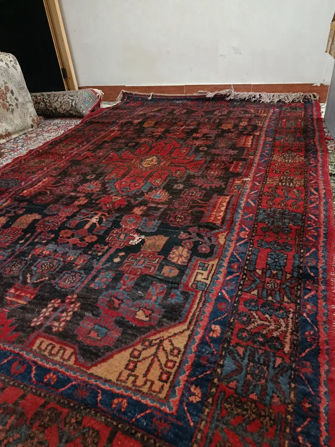 فرش دستباف قشقایی ۶ متری پشم دست ریس|فرش|خرم‌آباد, |دیوار