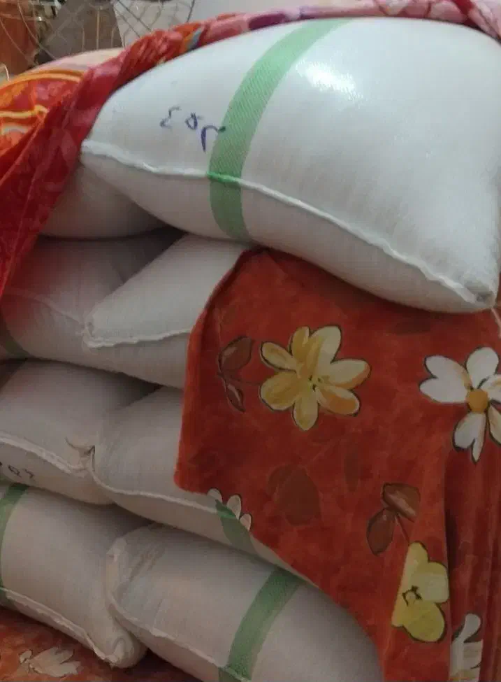 ۶۵۰ کیلو برنج طارم هاشمی درجه یک و اعلا|خوردنی و آشامیدنی|سرخرود, |دیوار