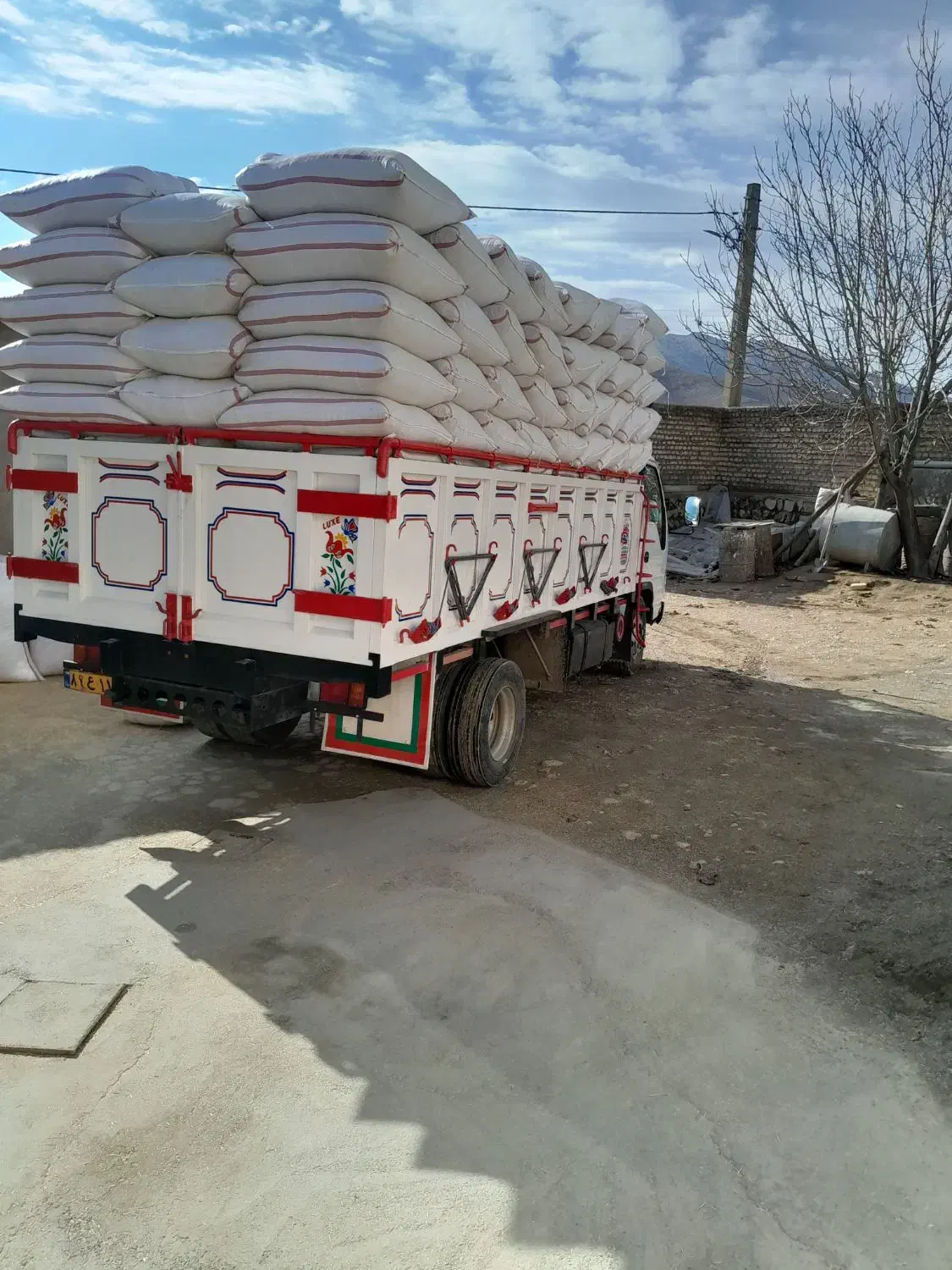 کاه|خدمات باغبانی و درختکاری|مسجد سلیمان, |دیوار