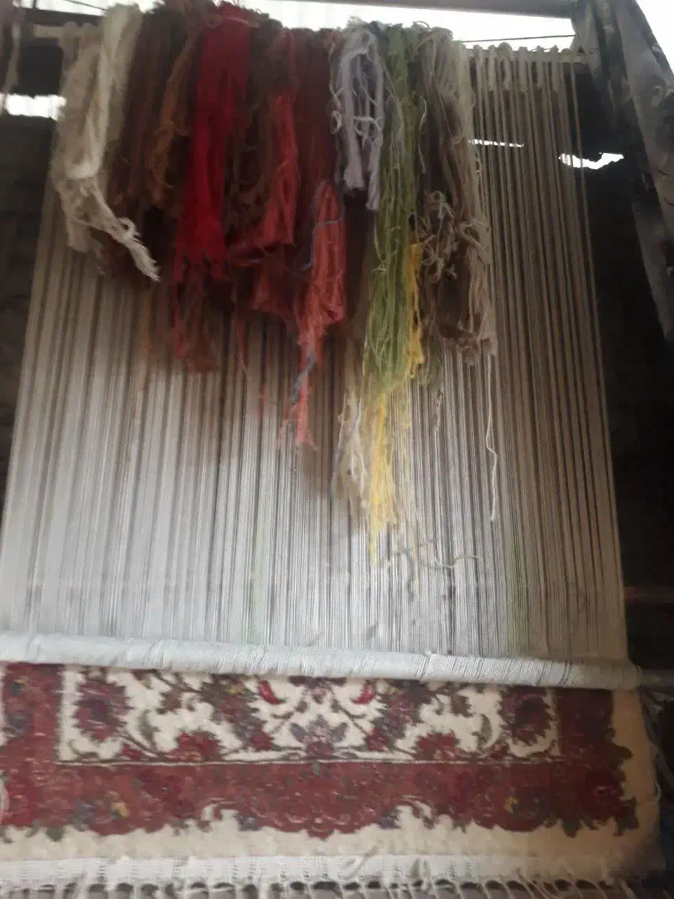 فروش دار قالی ۴۵۰۰۰۰۰|لوازم خیاطی و بافتنی|بابل, |دیوار