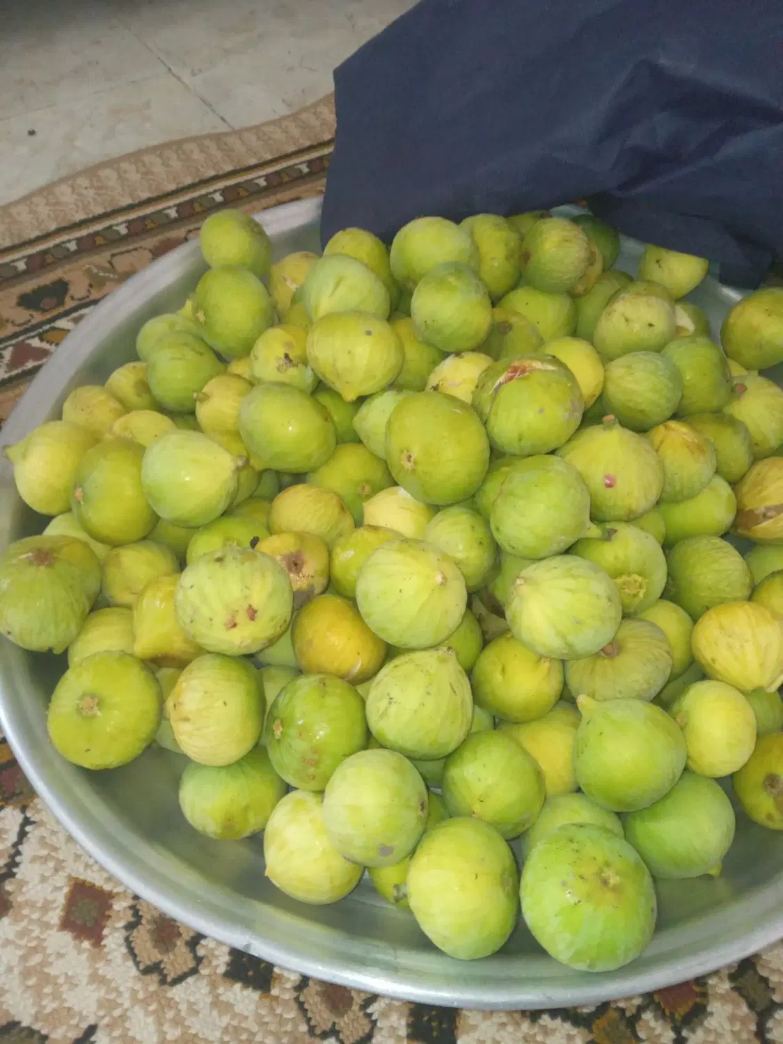 انجیر|خوردنی و آشامیدنی|بندر گز, |دیوار