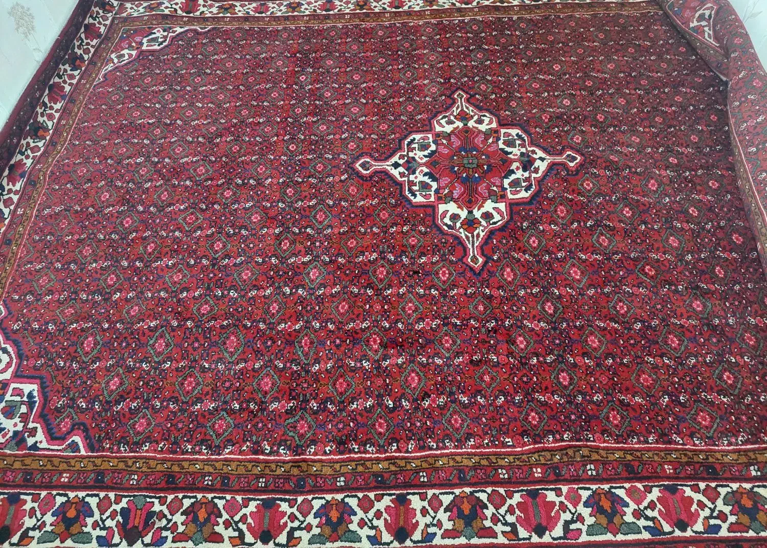 فرش ازندریان|فرش|همدان, |دیوار