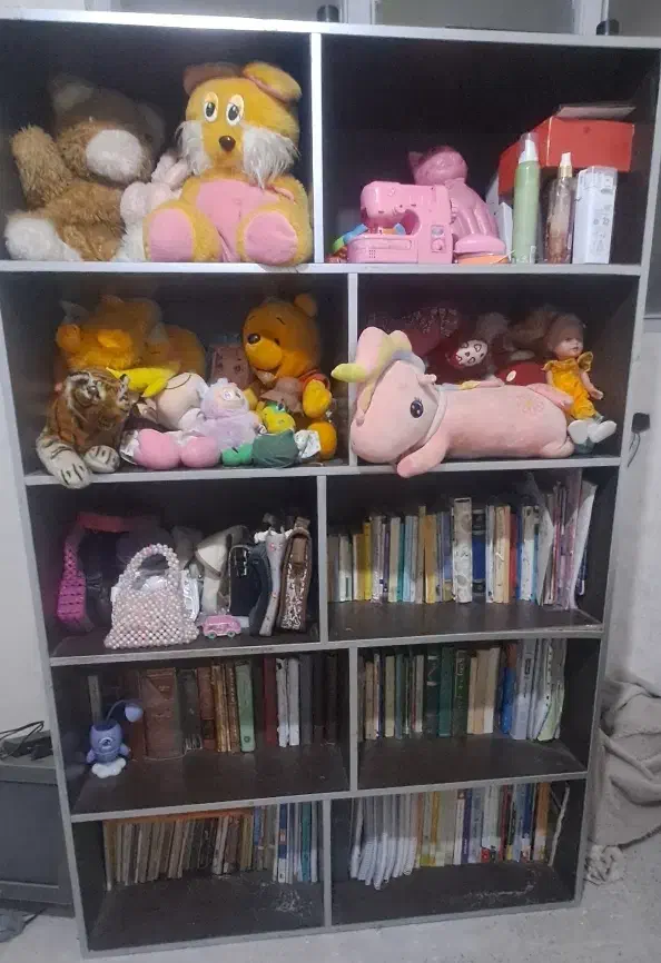 کتابخانه|کتابخانه، شلف، قفسه‌های دیواری|قرچک, شهرک طلائیه|دیوار