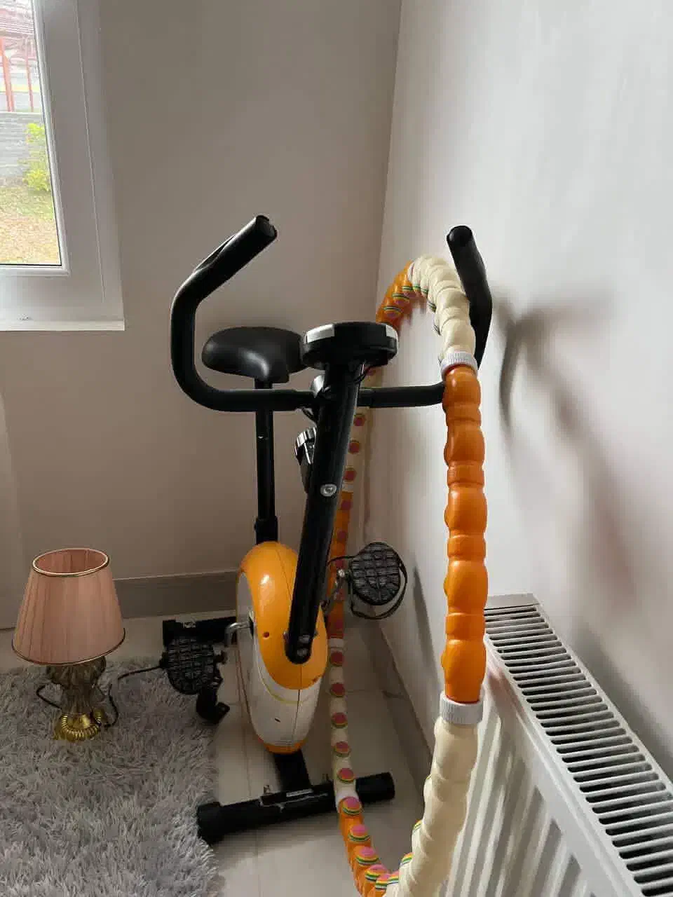 دوچرخه ورزشی|تجهیزات ورزشی|چالوس, |دیوار