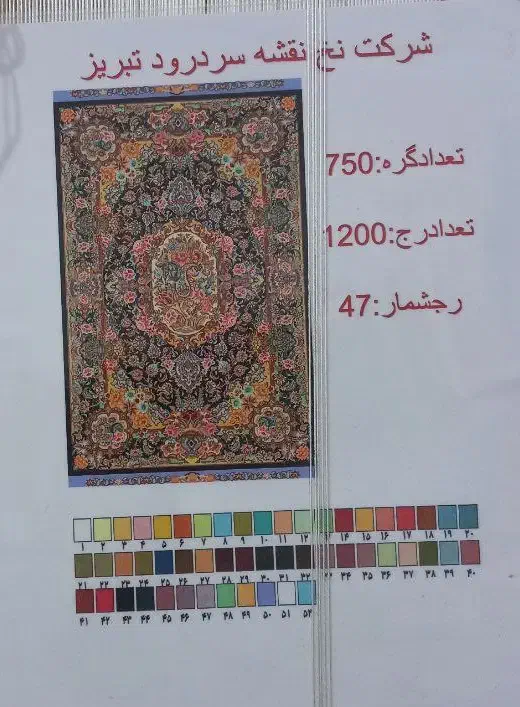 فرش زرنیم سالاری|فرش|رشت, شهرک قدس|دیوار