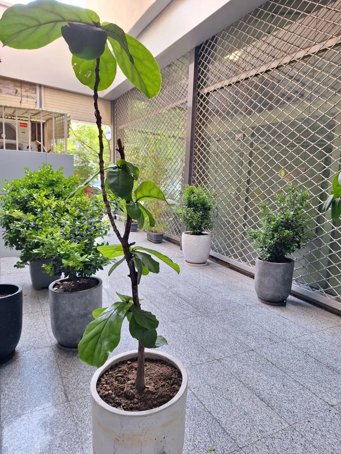 100متر اداری منیریه|اجارهٔ دفتر کار، اتاق اداری، مطب|تهران, امیریه|دیوار