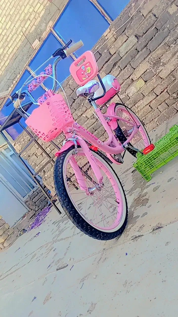 دوچرخه 20 دخترانه صورتی|دوچرخه، اسکیت، اسکوتر|تربت‌حیدریه, کلاته توکلی|دیوار