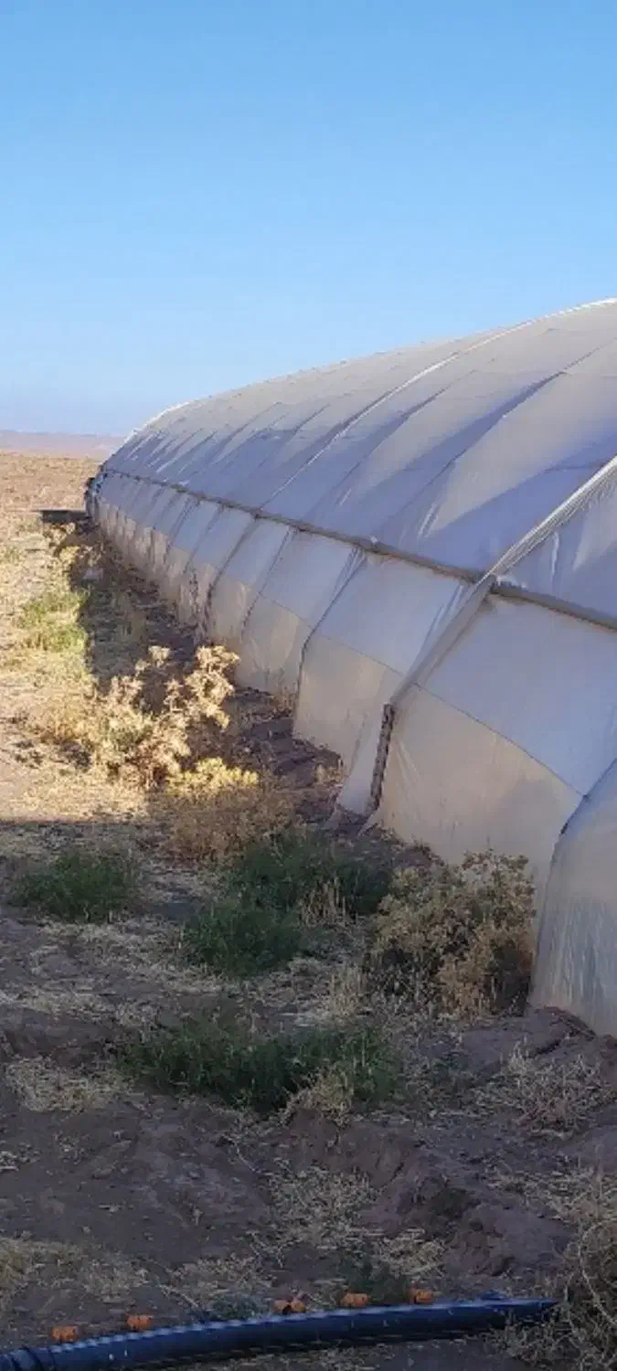 گلخانه|ماشینآلات صنعتی|فیروزه, |دیوار