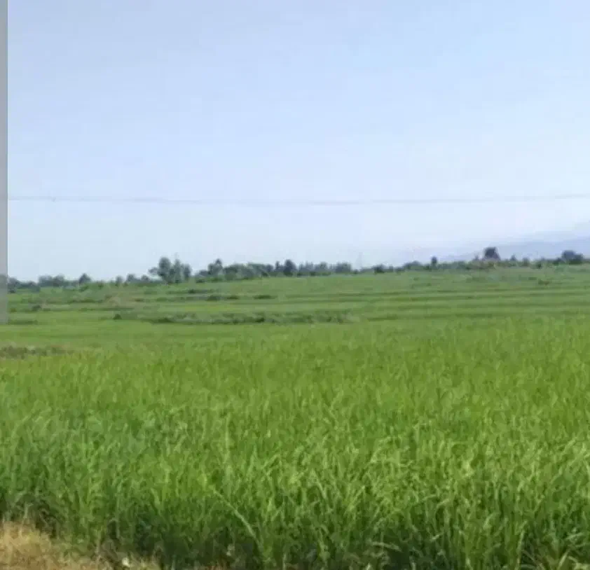 اجاره زمین|اجارهٔ دفتر صنعتی، کشاورزی، تجاری|کوهدشت, |دیوار