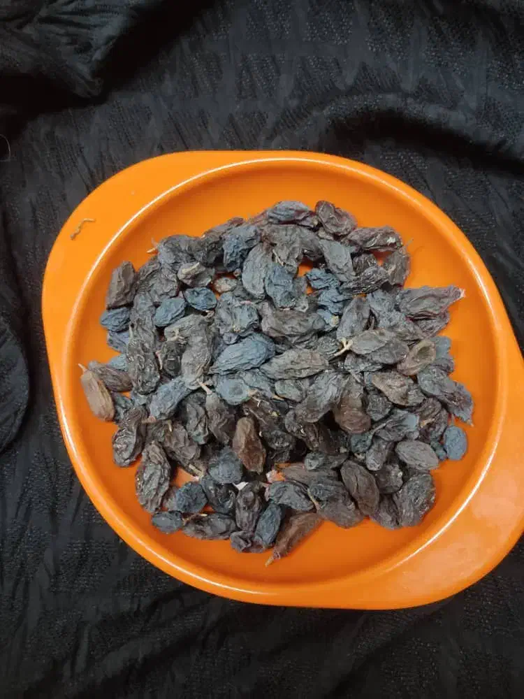 فروش|خوردنی و آشامیدنی|شیراز, بازار|دیوار