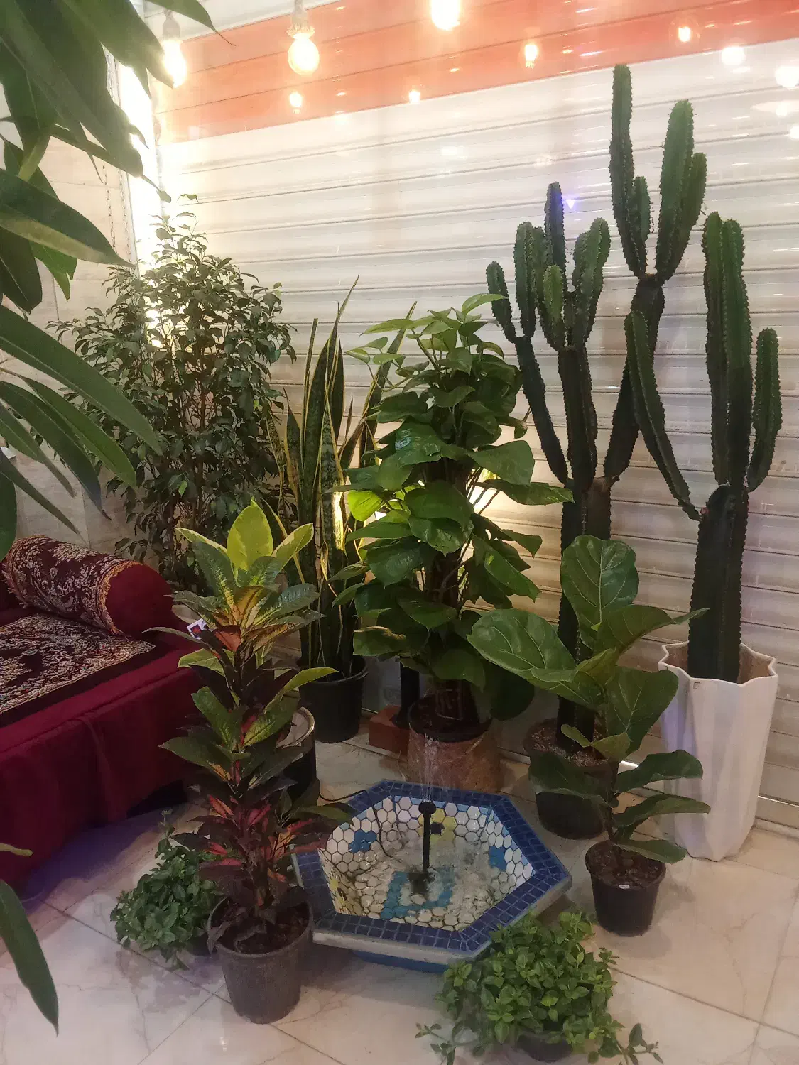 کافه گل|گل و گیاه طبیعی|فولادشهر, B8|دیوار