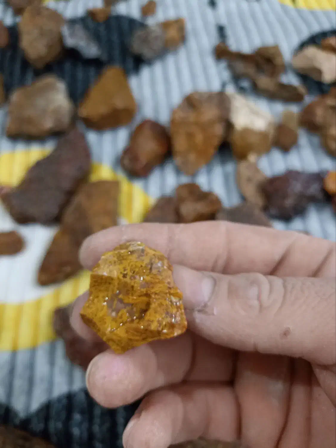 سنگ شجر و عقیق|کلکسیون اشیاء عتیقه|سبزوار, امیر کبیر|دیوار