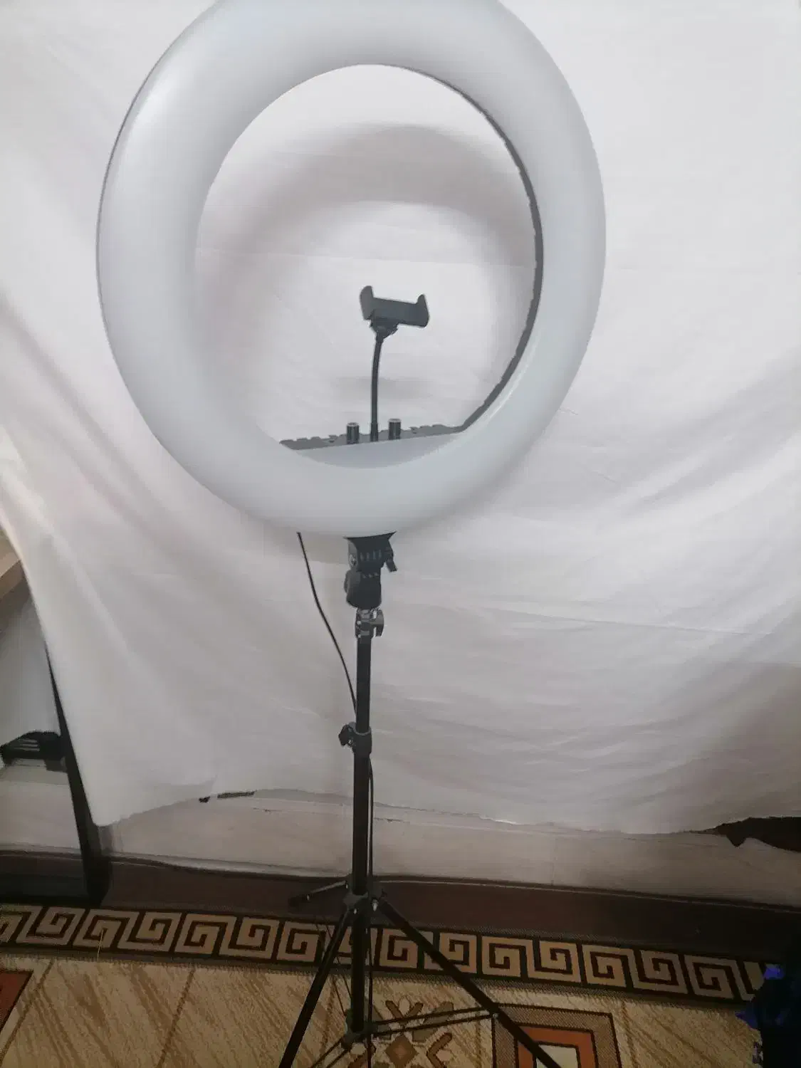 رینگ لایت|دوربین عکاسی و فیلمبرداری|یزد, |دیوار