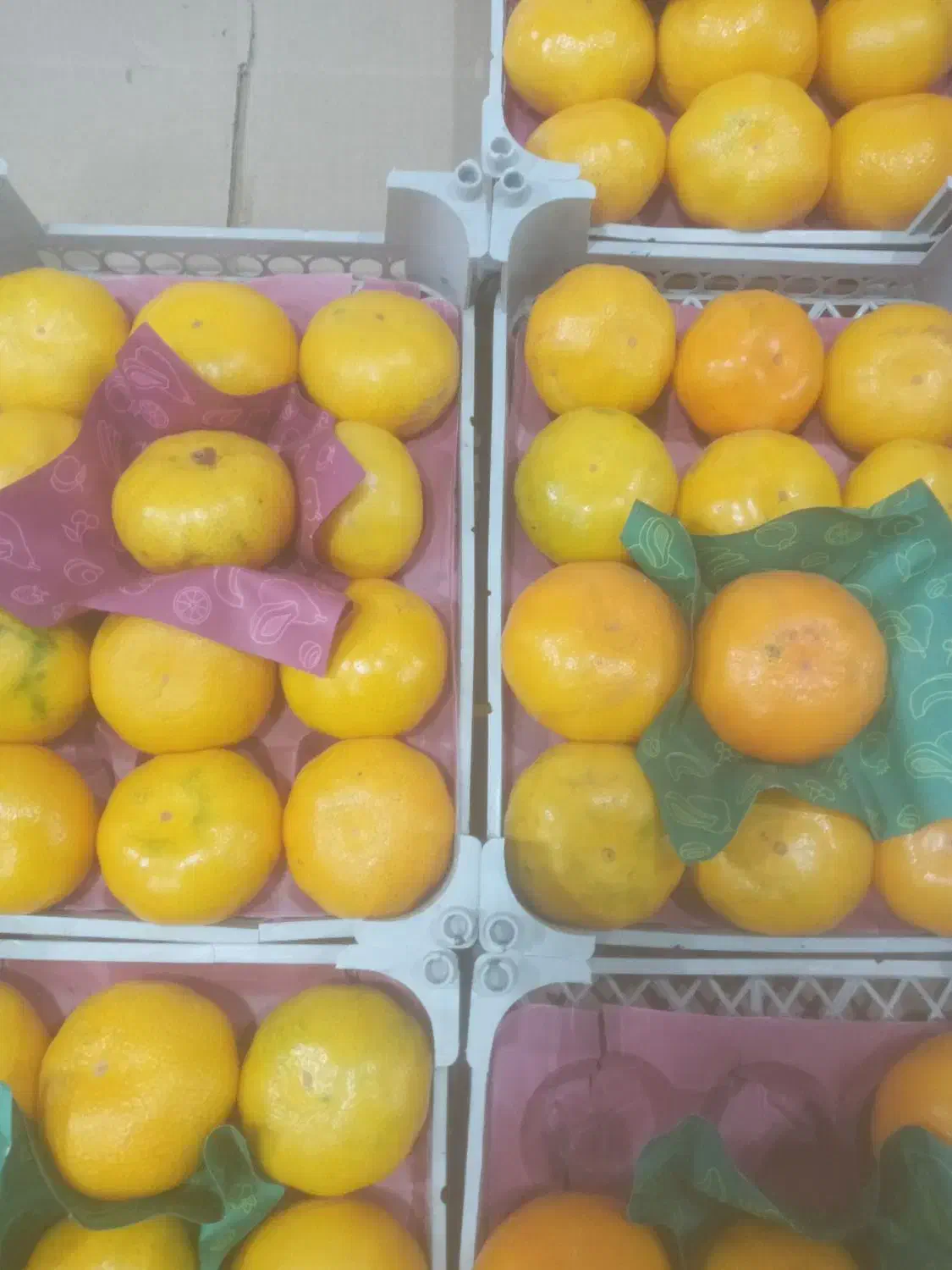 نارنگی|خوردنی و آشامیدنی|قیدار, |دیوار