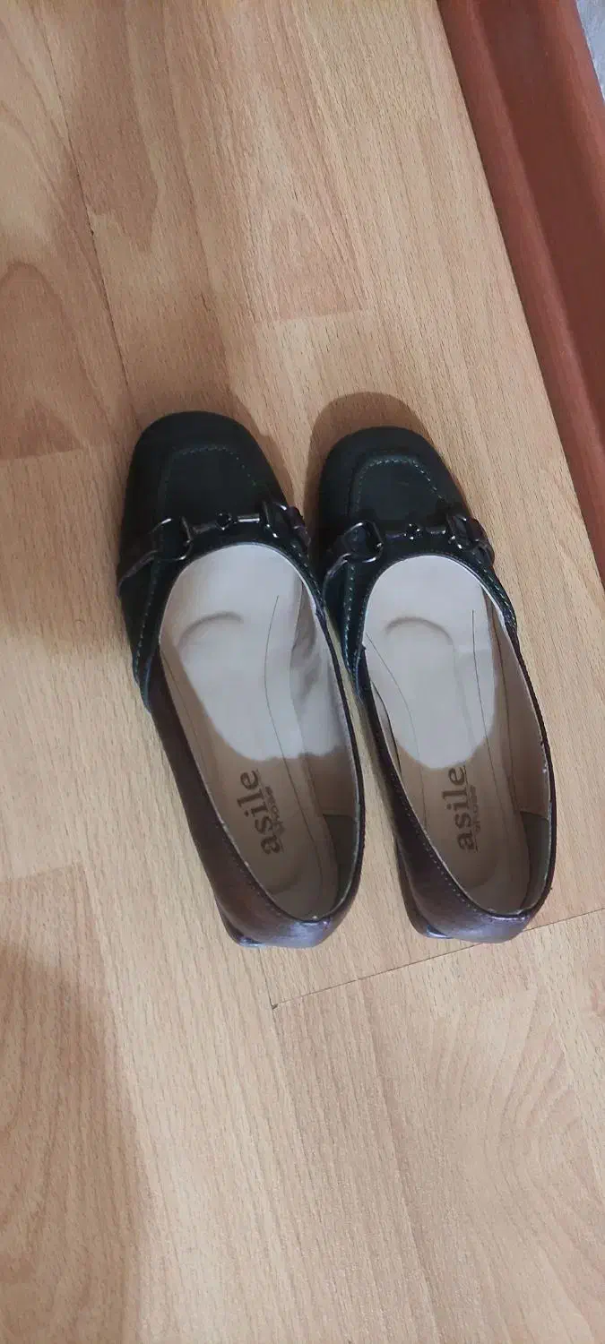 کیف و کفش ست|کیف، کفش، کمربند|گنبد کاووس, |دیوار