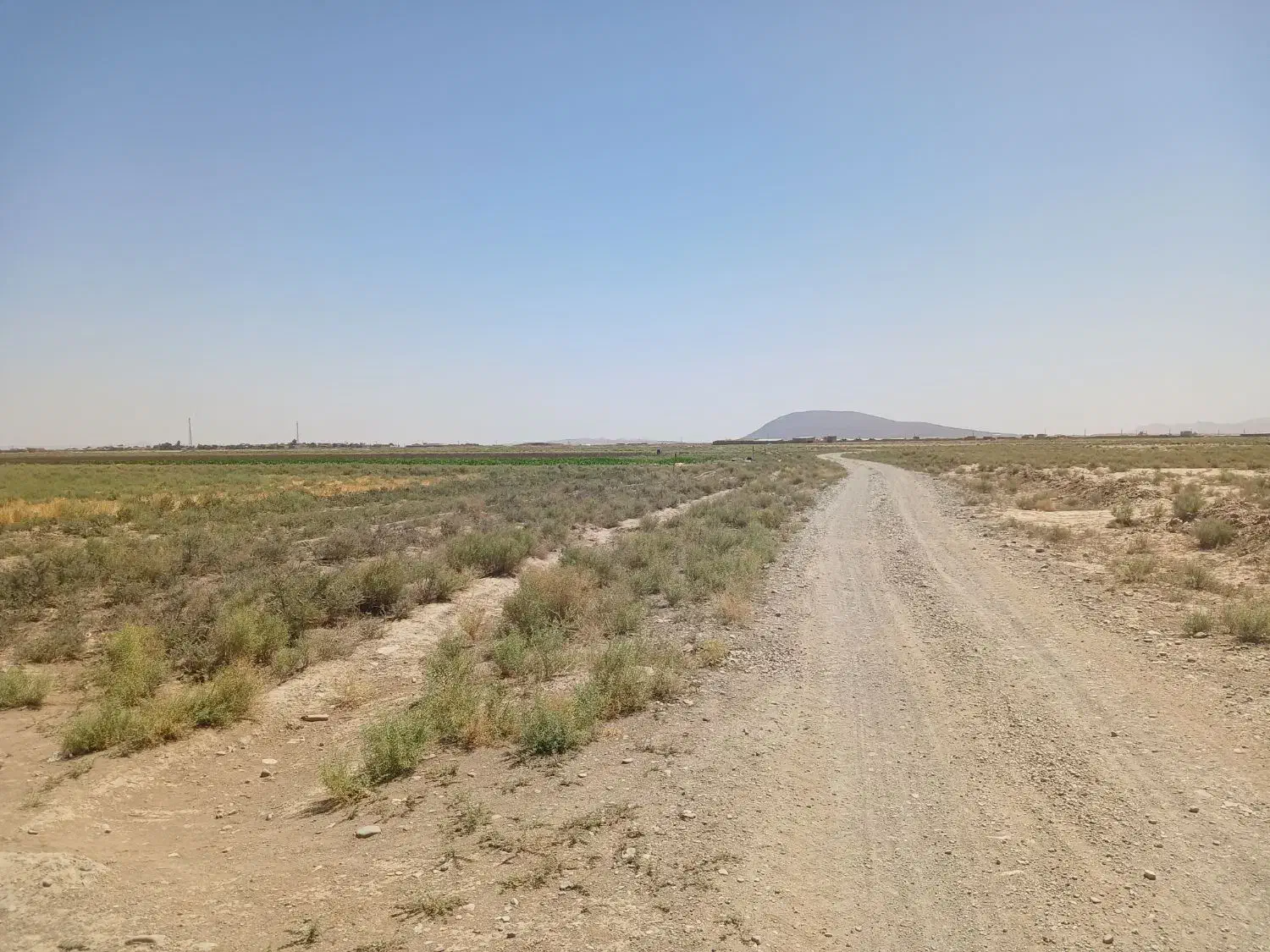 زمین گلخانه ای اماده احداث در شهرستان جعفریه|فروش دفتر صنعتی، کشاورزی، تجاری|قم, دانش|دیوار