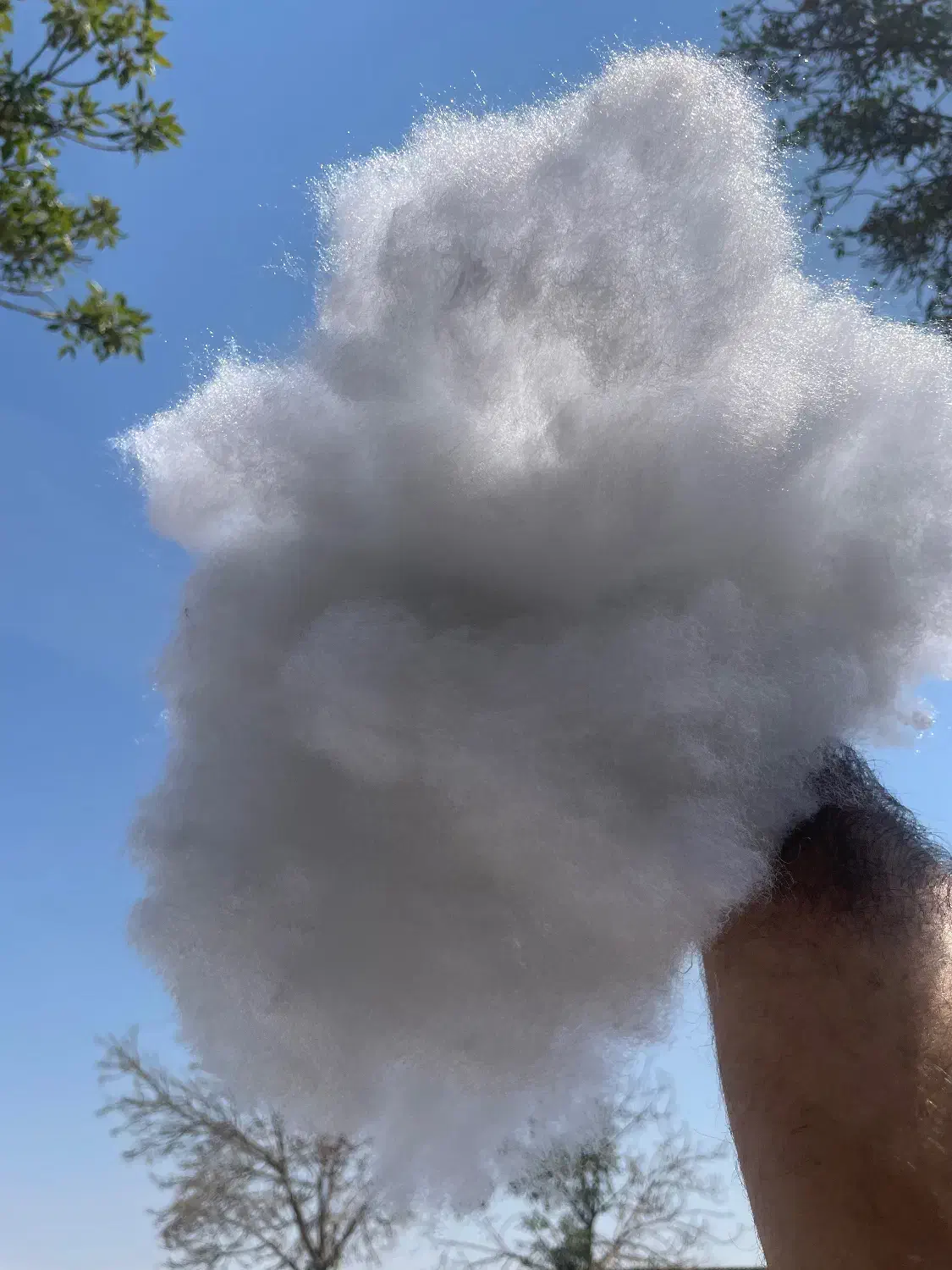 هالو سالید الیاف بالفایبرتوپی الیاف حلاجی کاپشن|رختخواب، بالش، پتو|قرچک, داوود آباد|دیوار