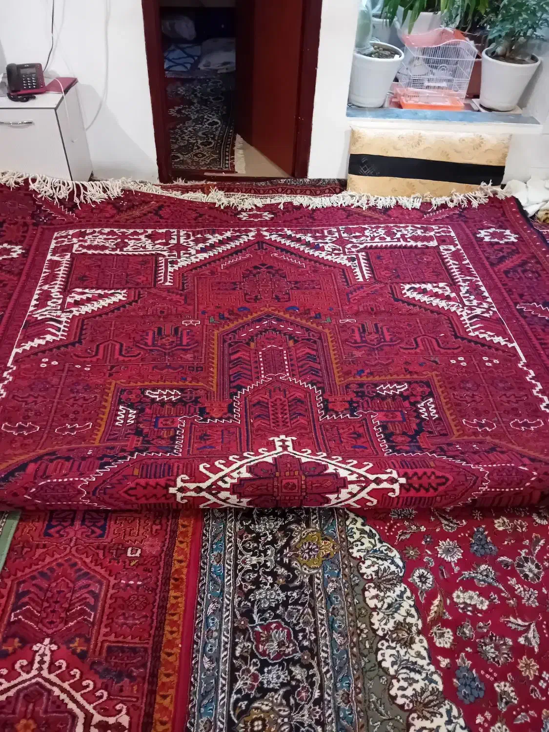 یک فرش ۱۲ متری قدیمی کقالق بافت قدیم هست|فرش|اهر, |دیوار