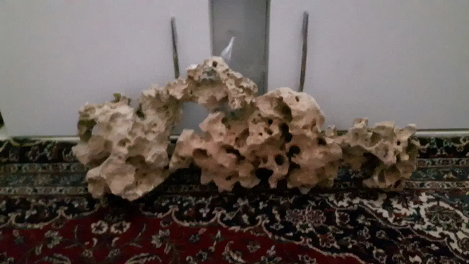 صخره اکواریوم|ماهی|چهاردانگه (تهران), |دیوار