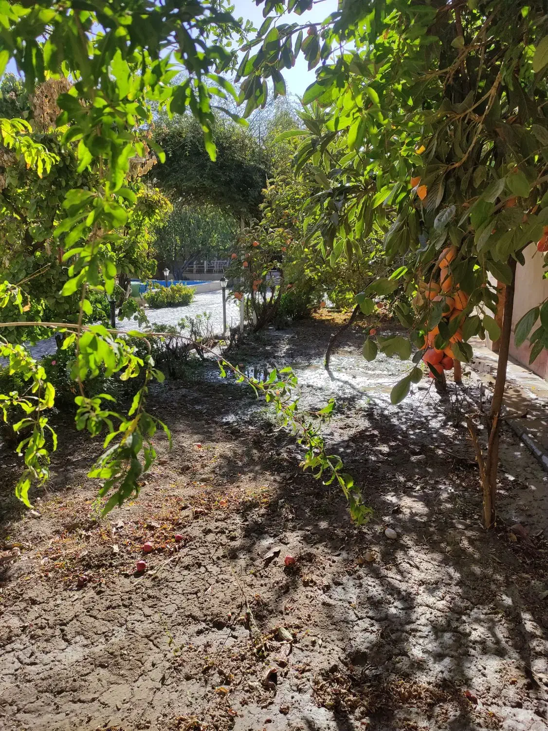 باغ ویلا شهری همایون ویلا محمدشهر|فروش خانه و ویلا|تهران, جنت‌آباد شمالی|دیوار