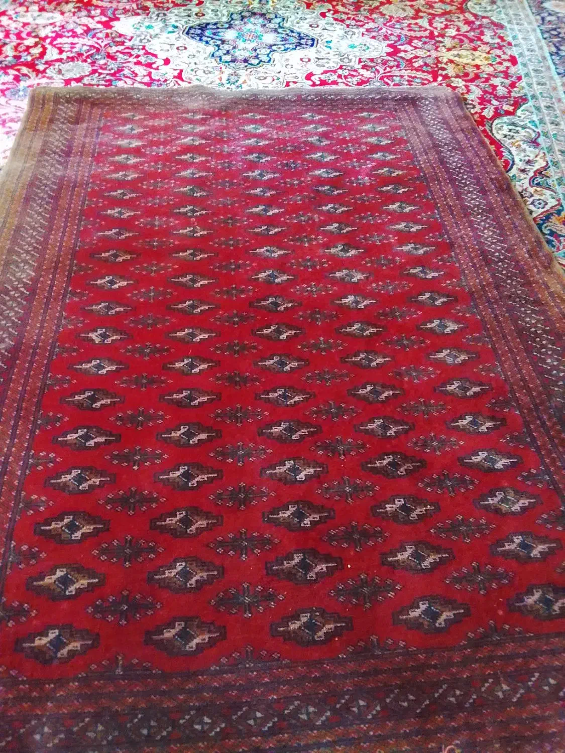 قالیچه دست بافت|فرش|مشهد, بهمن|دیوار